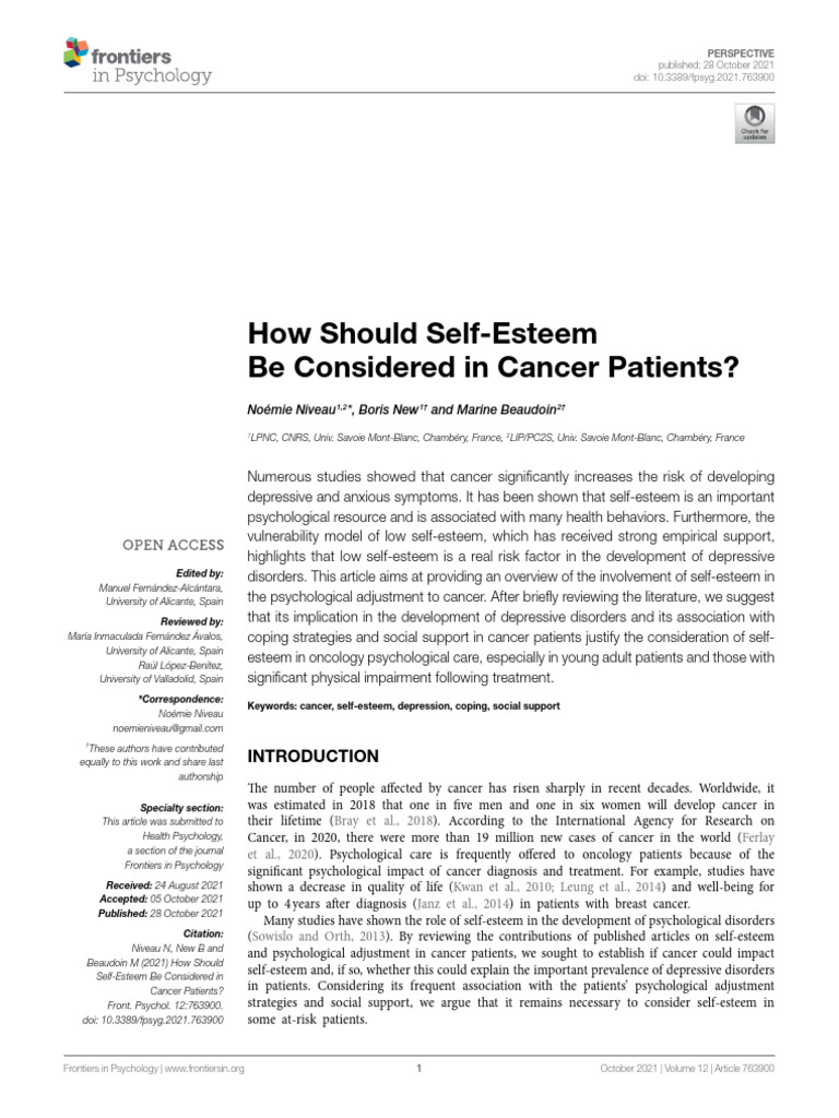 Self-Esteem's Role in Cancer Care | PDF | Self Esteem | Social Support