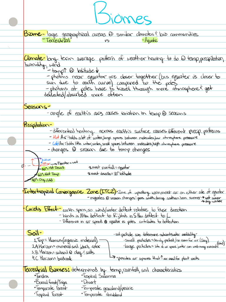 Biomes | PDF | Estuary | Tropics