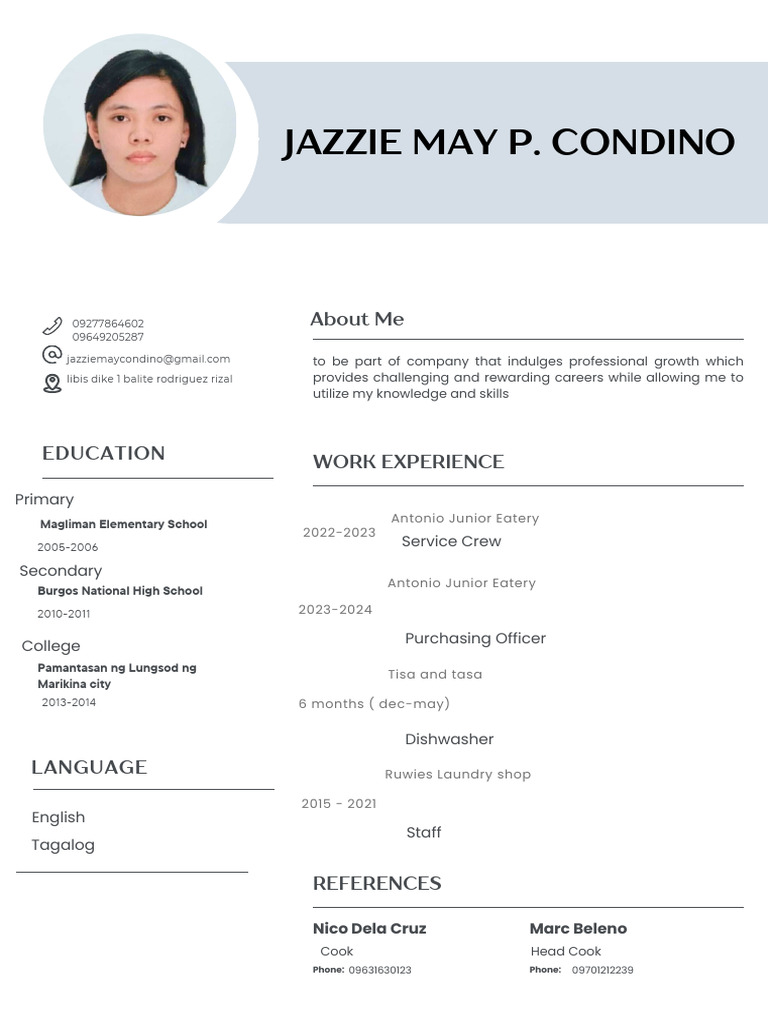 Simple Professional CV Resume - PDF 2 | PDF