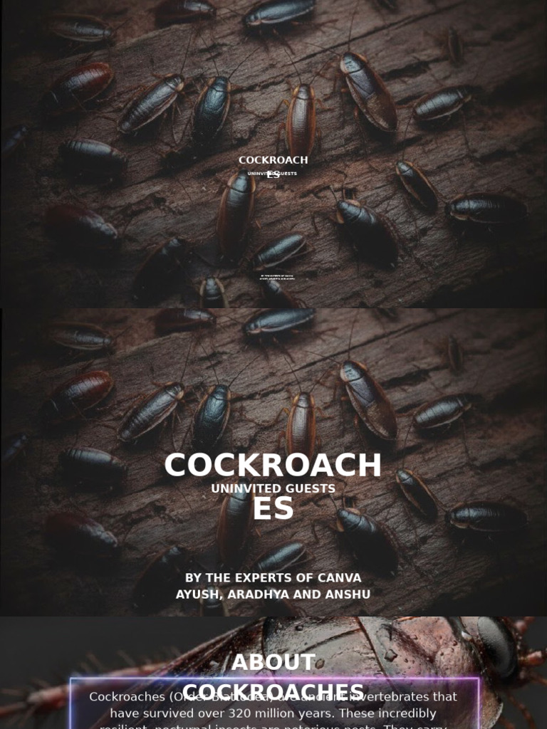 Cockroaches | PDF