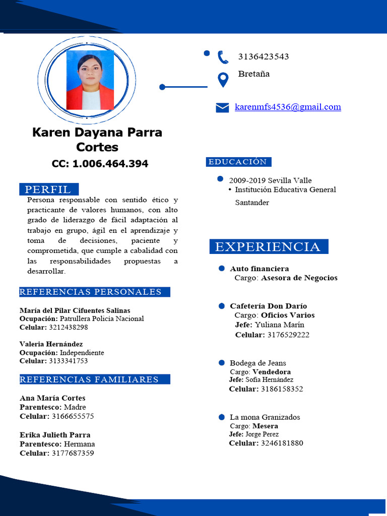 Perfil Profesional de Karen Dayana Parra | PDF