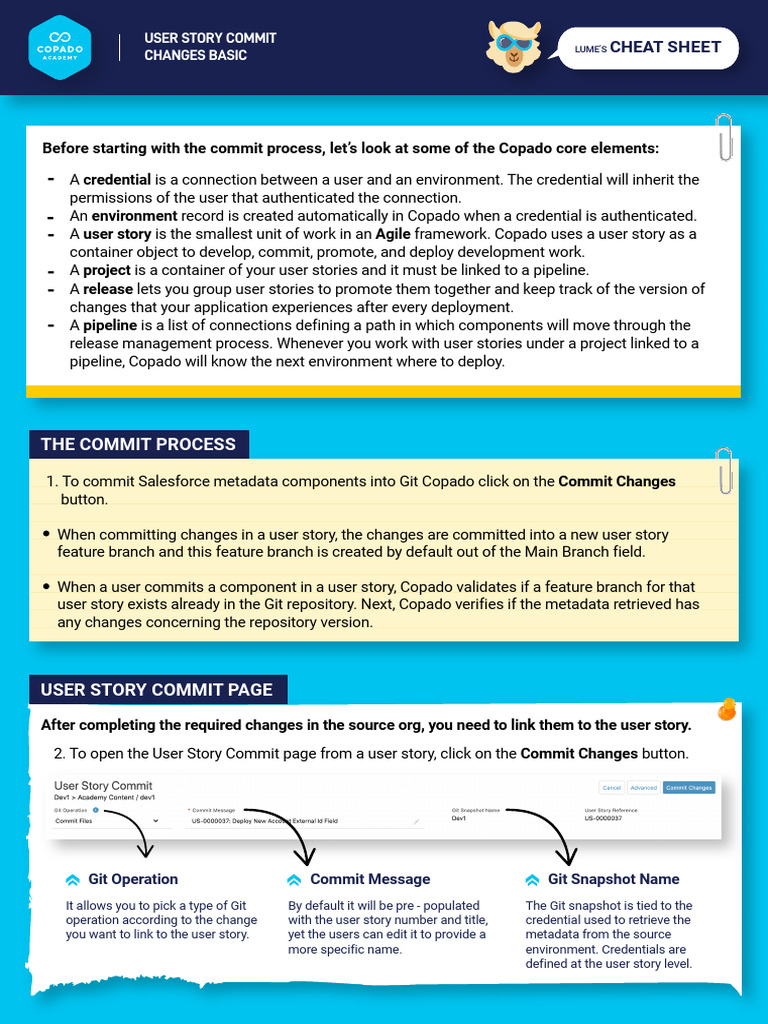 Salesforce Git Commit Process Guide | PDF | Metadata | System Software