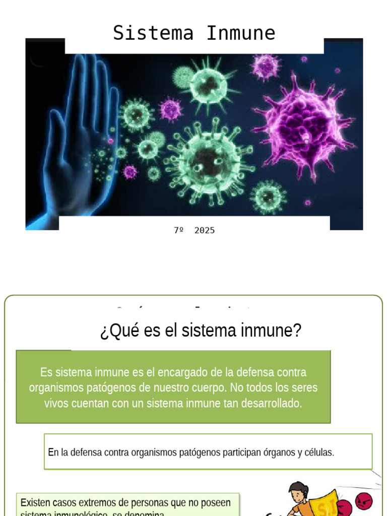Sistema Inmune 2025 | PDF | Sistema inmune | Linfocitos