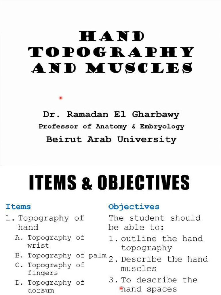 9.hand Topography and Muscles | PDF