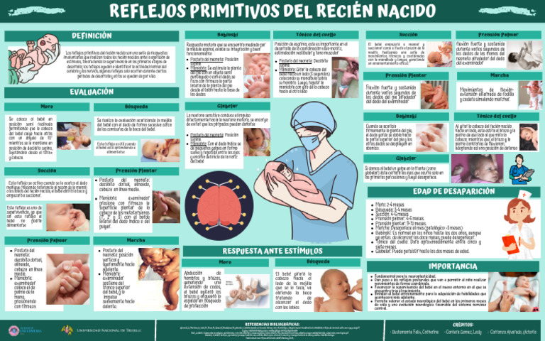 Tarea n2 Infografia Reflejos Primitivos Del Recien | PDF | Infantes