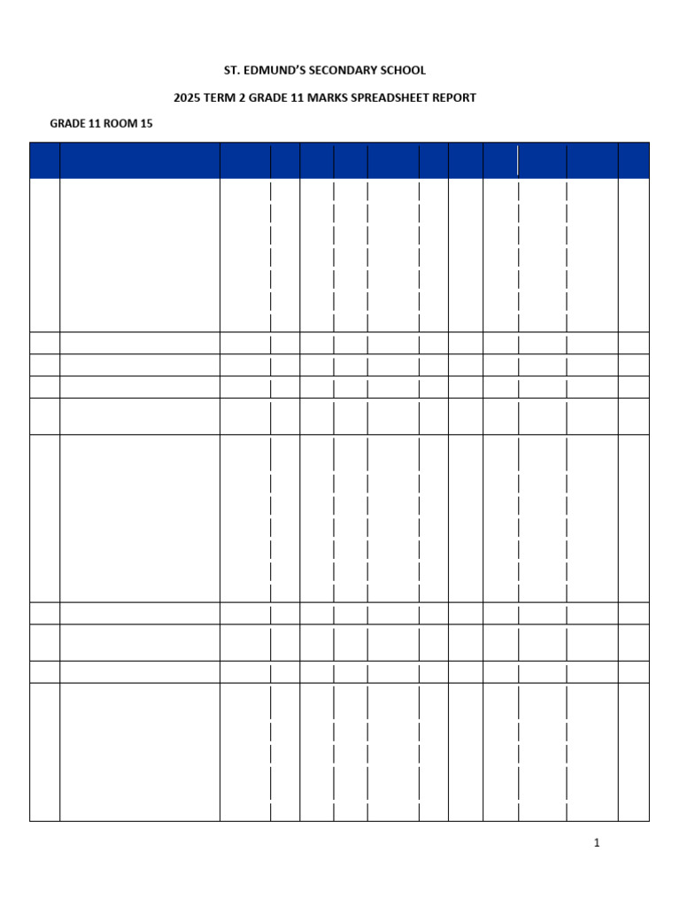 Grade 11 Term 2 Marks Report 2025 | PDF