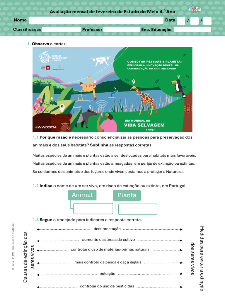 Avaliação de Preservação Ambiental 4º Ano | PDF | Desmatamento | Extinção