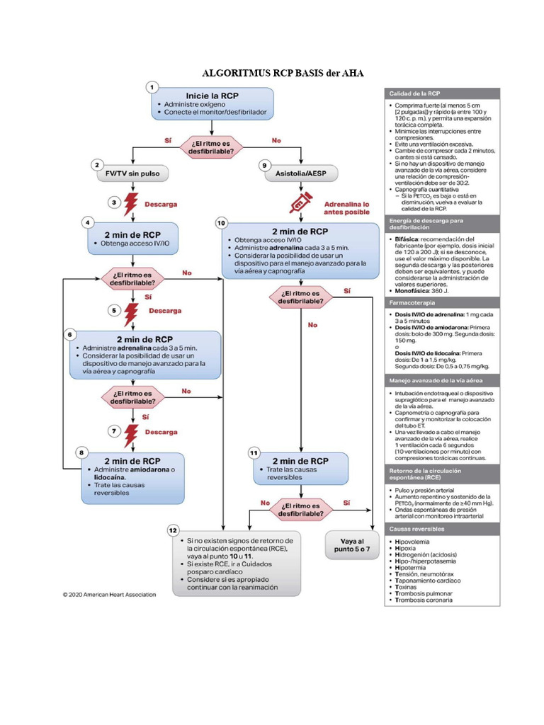 Algorithmus Für Die Grundlegende CPR Der AHA 2020 | PDF