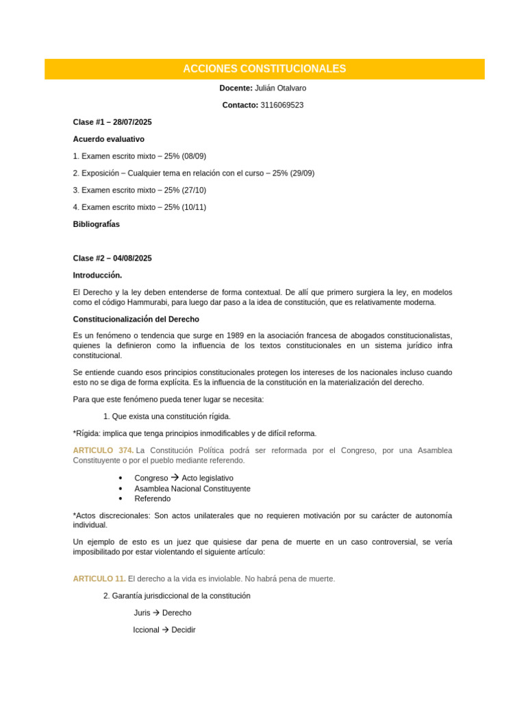 Acciones Constitucionales en Derecho | PDF | Constitución | Juez