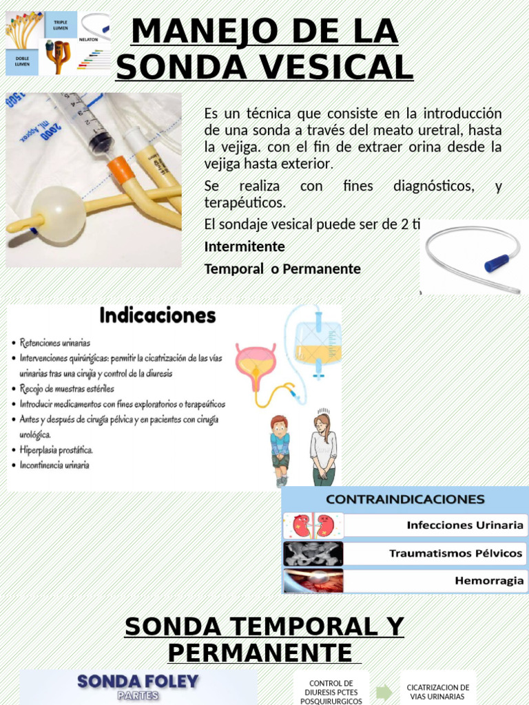 Indicador de Calidad en Sonda Vesical | PDF