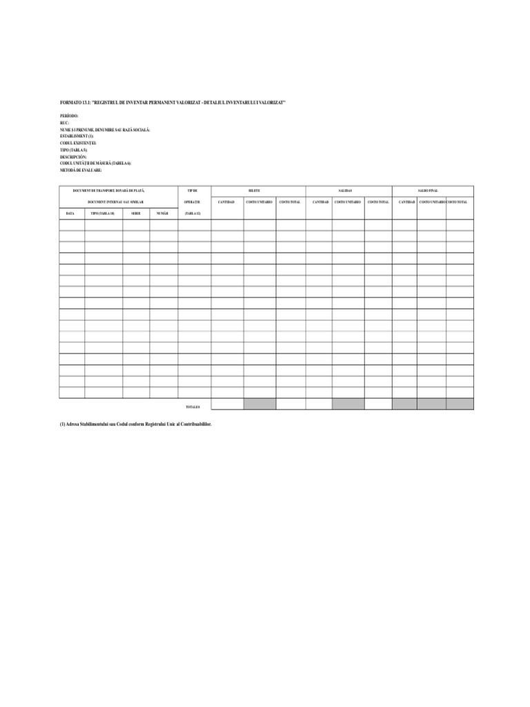 Format 13 - Inventar Valorizat | PDF