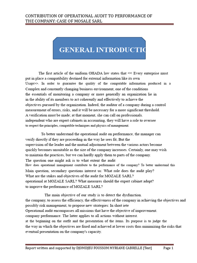 Internship Report Cca Myriane | PDF | Audit | Taxes
