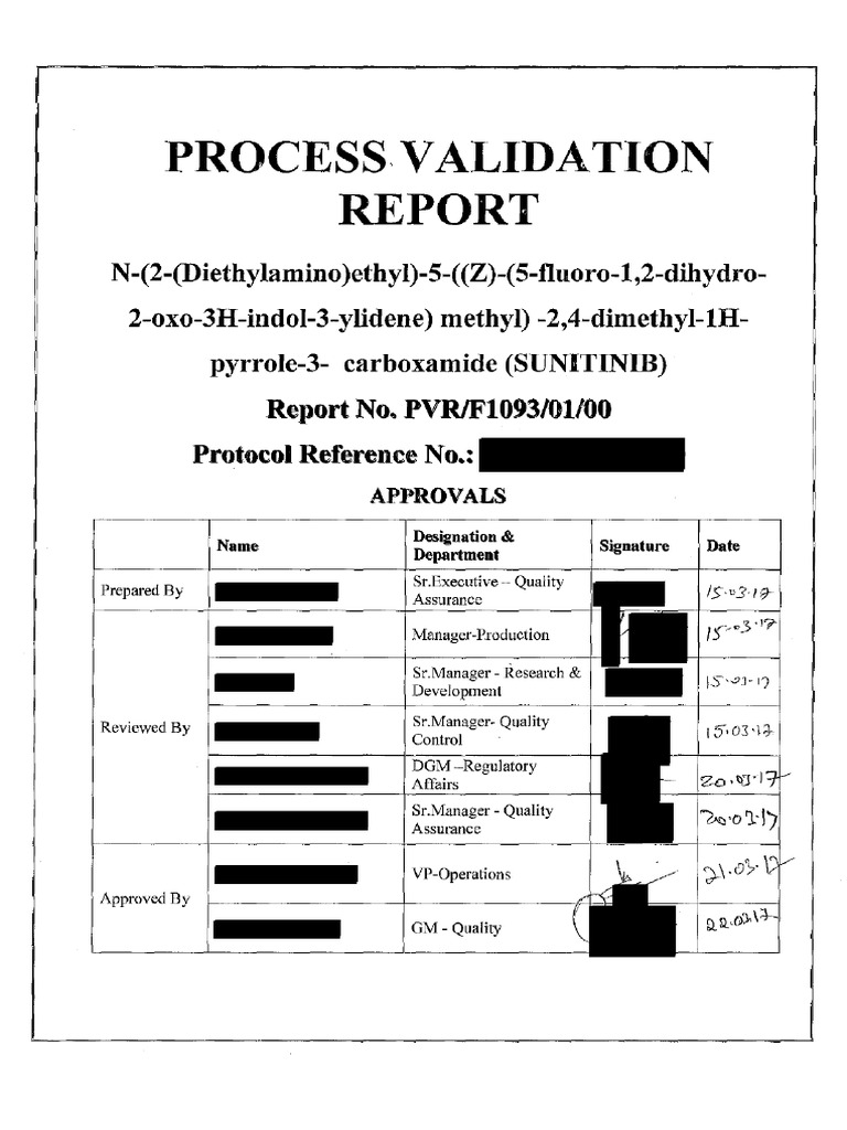 Process Validation Report - Sunitinib - Censurado | PDF