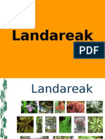 Landareak 1