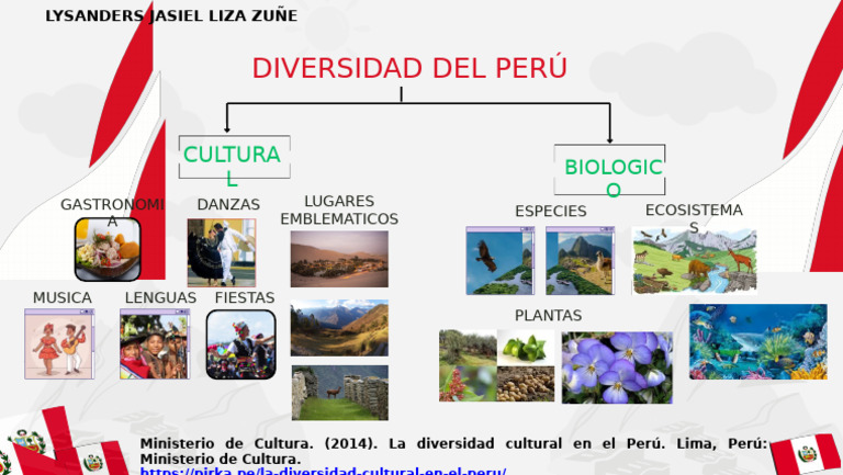 Diversidad Del Peru | PDF