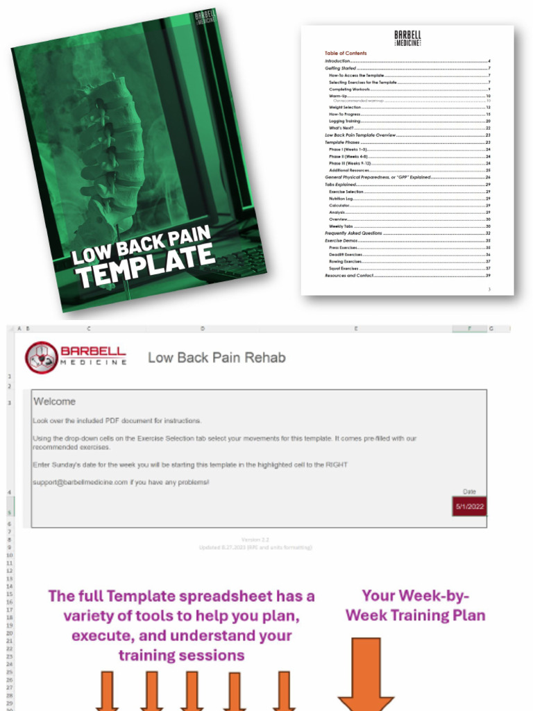 BBM Low Back Pain Rehab Sample Week July 2024 | PDF