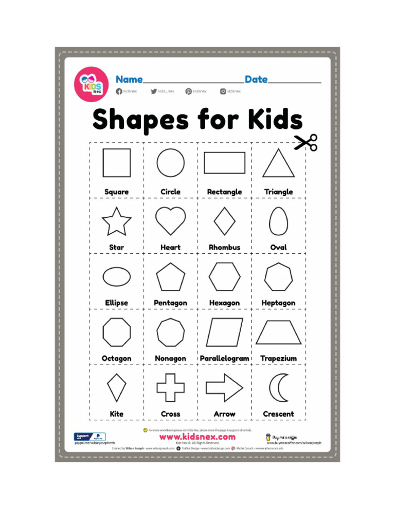 Shapes | PDF
