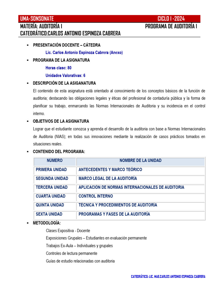 Programa de Auditoria I-24 | PDF | Auditoría | normas internacionales ...