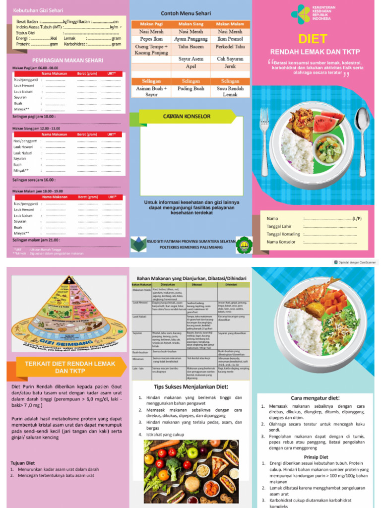 Diet Rendah Lemak Dan TKTP | PDF