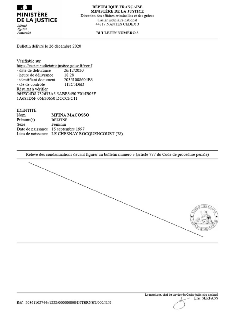 Bulletin numéro 3 du casier judiciaire | PDF