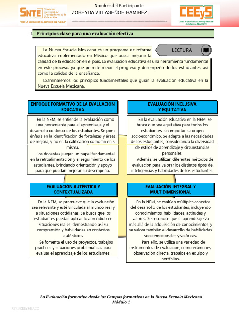 Evaluación Formativa en la NEM | PDF | Evaluación | Aprendizaje