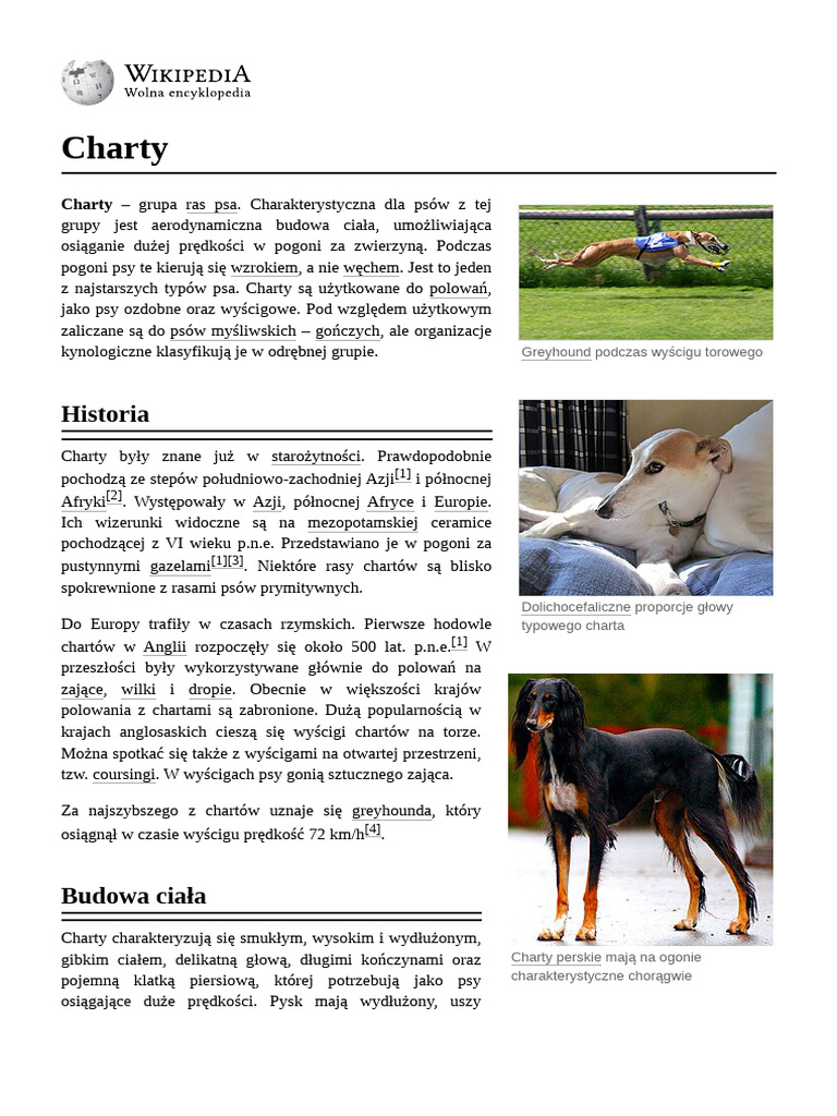 Charty | PDF