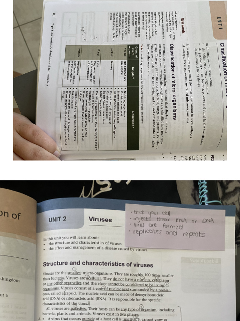 Virus, Bacteria, Protists and Fungi | PDF