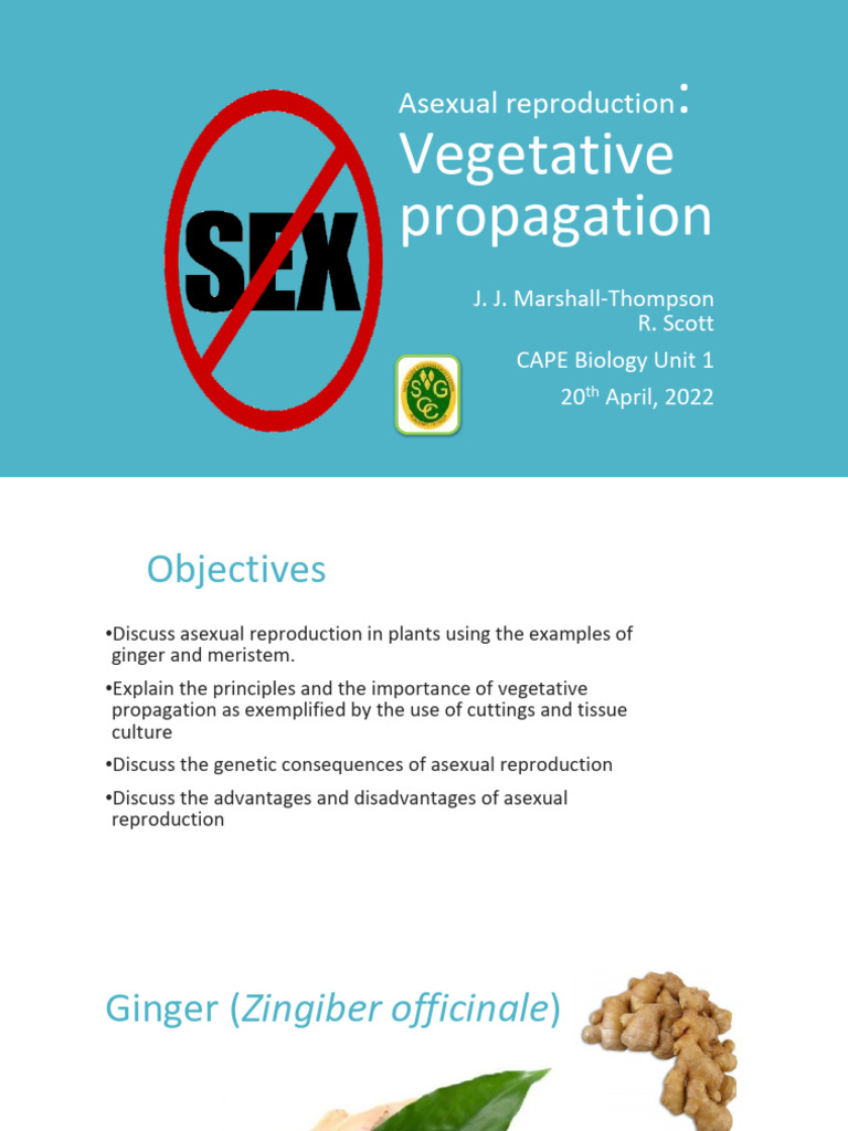 Asexual Reproduction Vegetative Propagation | PDF | Grafting | Reproduction