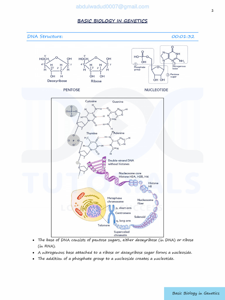 Basic Biology in Genetics | PDF | Dna Repair | Dna