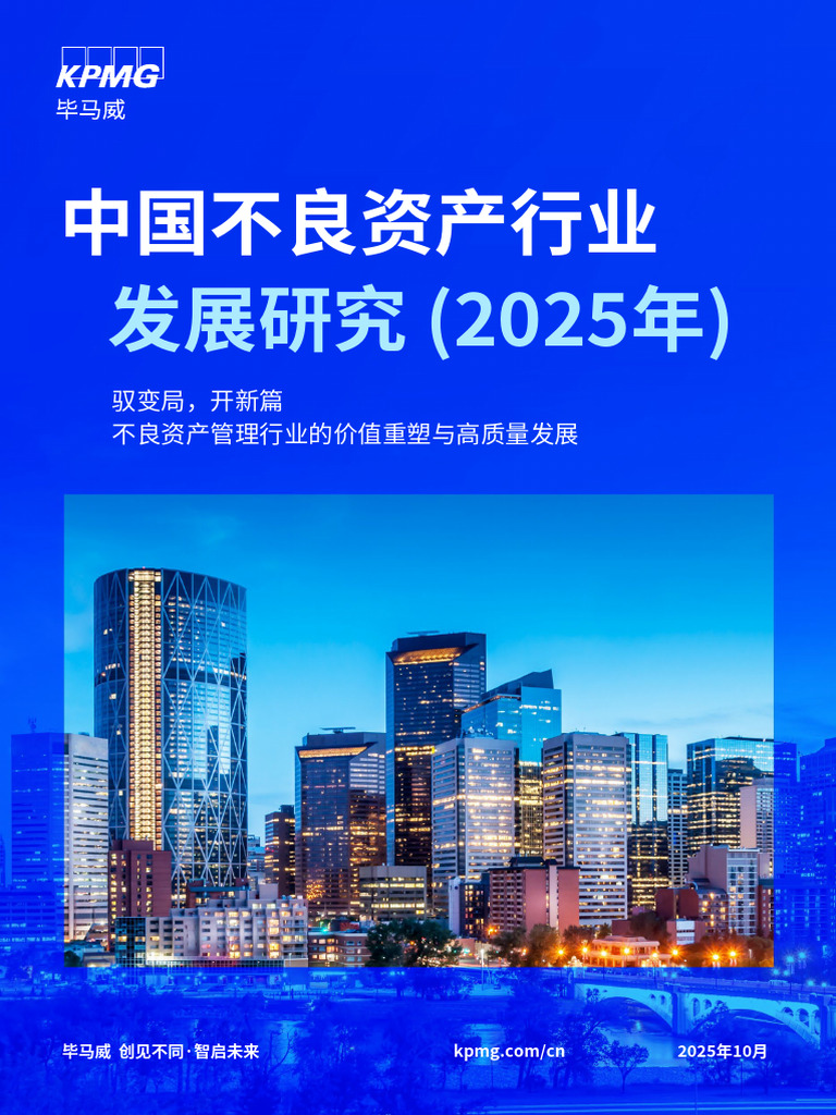 中国不良资产行业发展研究（2025年） | PDF