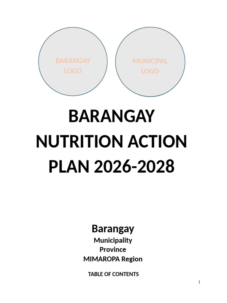 BNAP 2026 2028 Template 2 | PDF