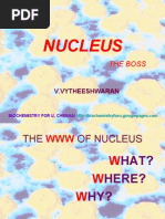 Download NUCLEUS - MORPHOLOGY AND FUNCTIONS by Vytheeshwaran Vedagiri SN943314 doc pdf