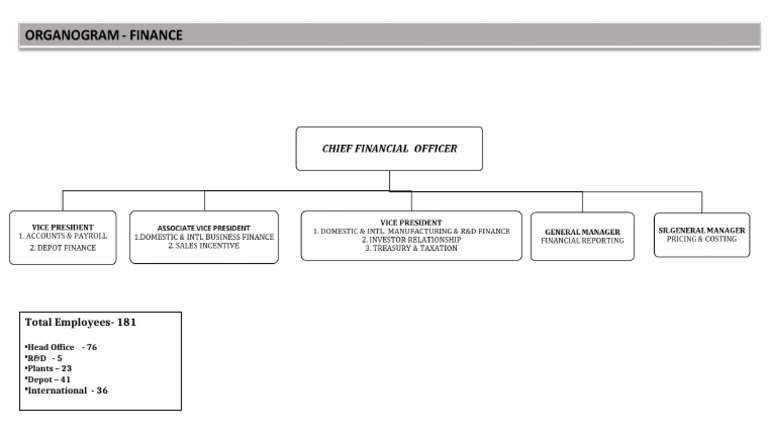 FINANCE - Organogram | PDF