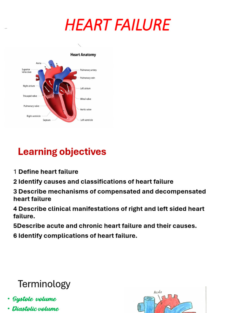 Understanding Heart Failure: Causes & Symptoms | PDF | Heart Failure ...