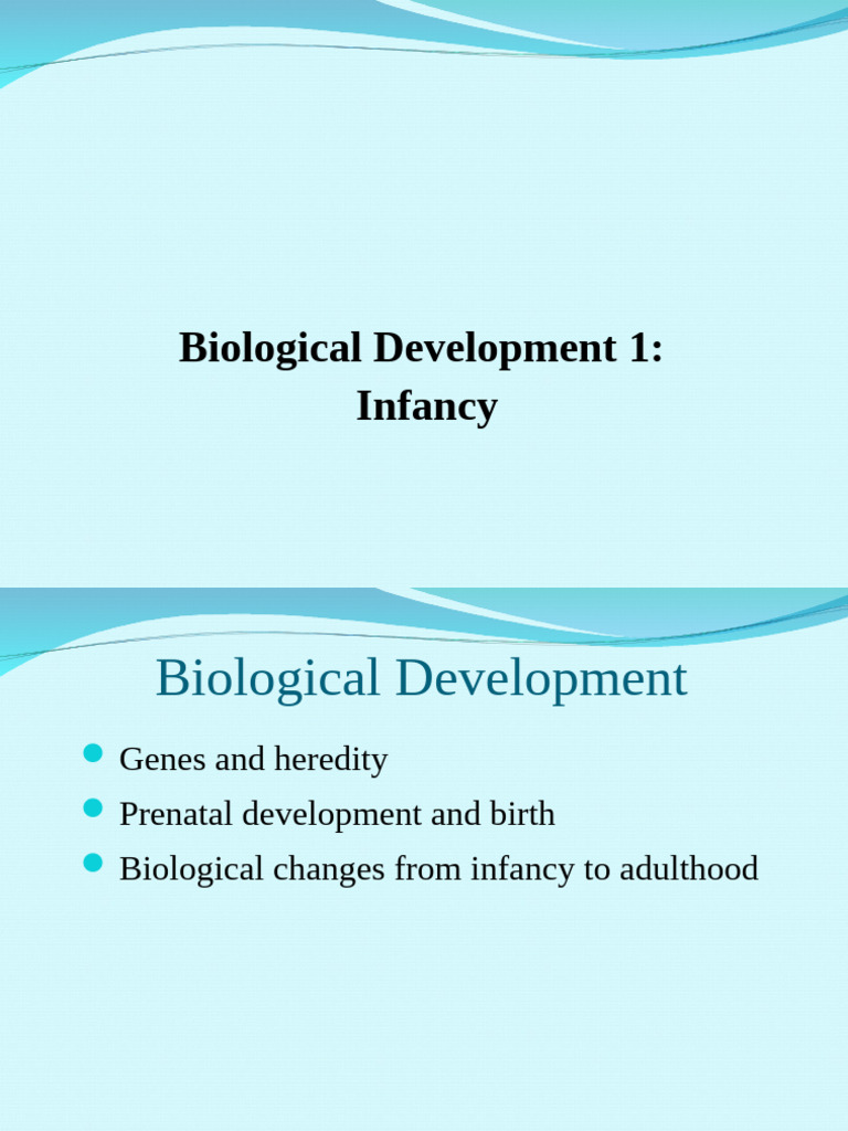 Lecture 2 Biological Development 1 - Infancy | PDF | Heredity ...