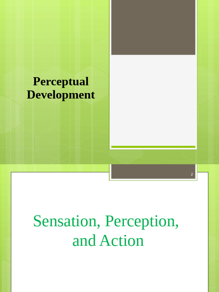 Understanding Perceptual Development | PDF | Perception | Senses