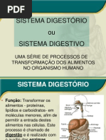 sistema_digestivo