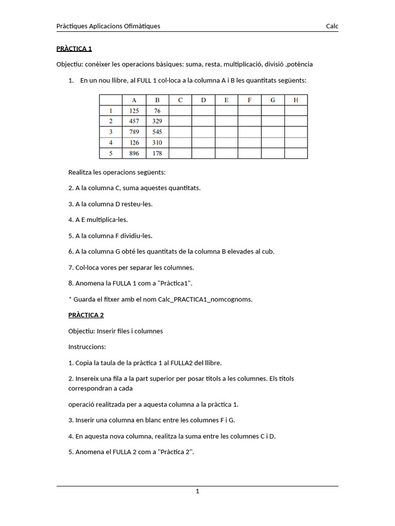 Pràctica Calc | PDF