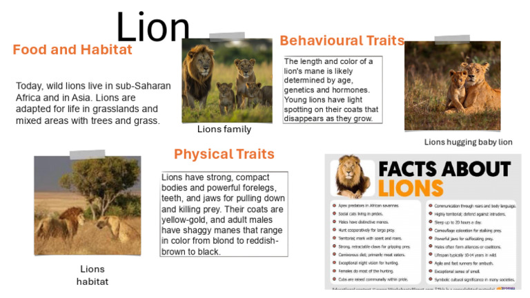 Key Traits of Lions Explained | PDF
