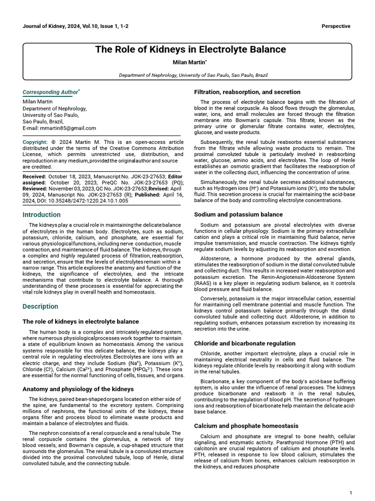 Kidneys and Electrolyte Balance Explained | PDF | Kidney | Homeostasis