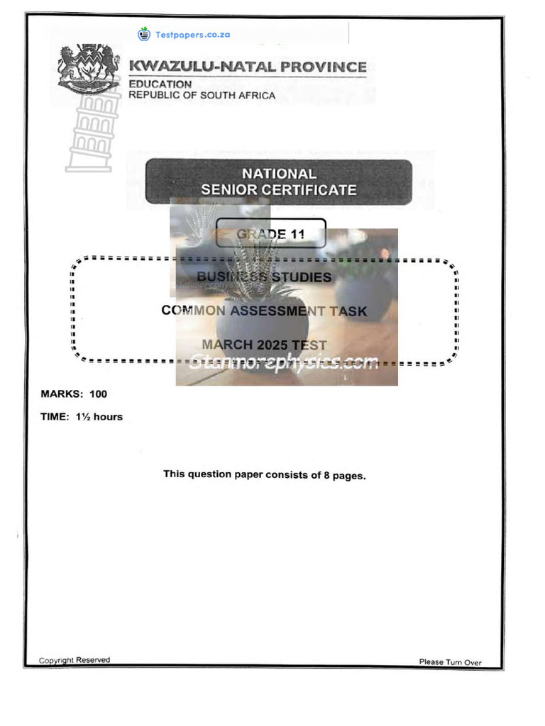 KZN Business Studies Grade 11 March 2025 QP and Memo | PDF