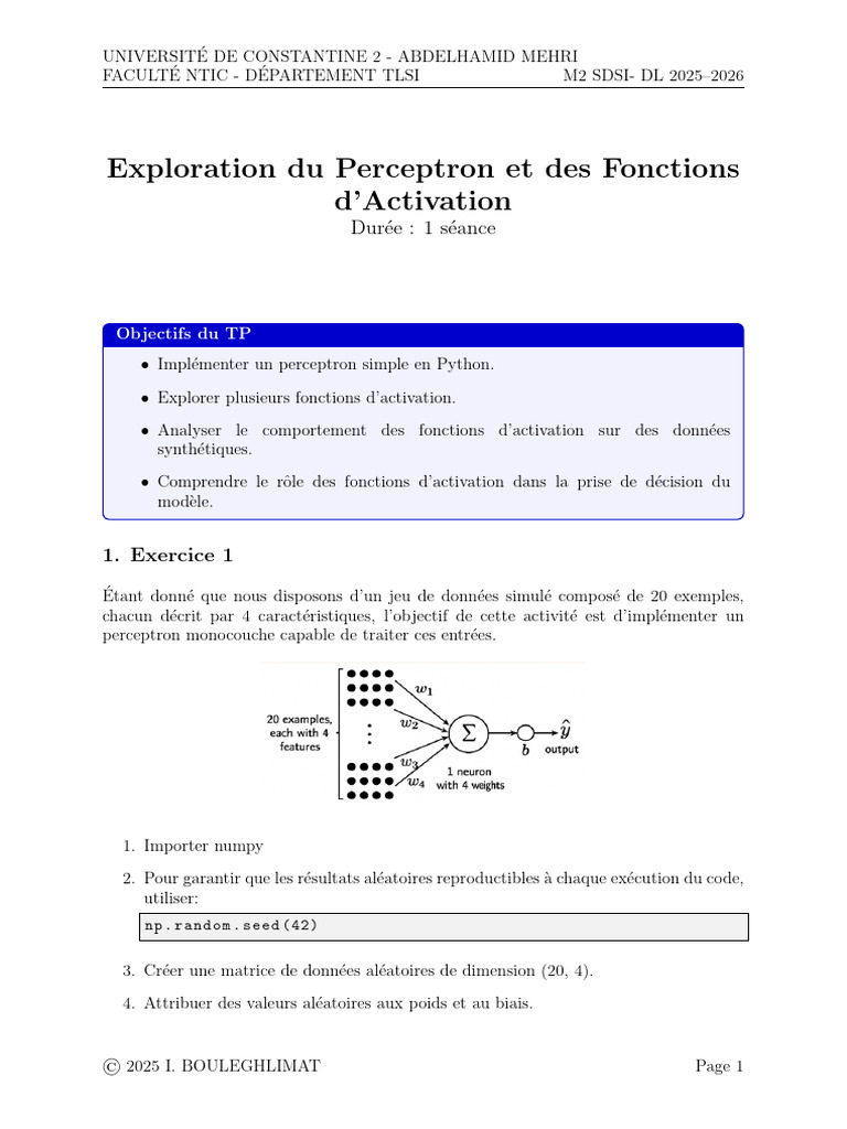 Perceptron et Fonctions d'Activation en Python | PDF