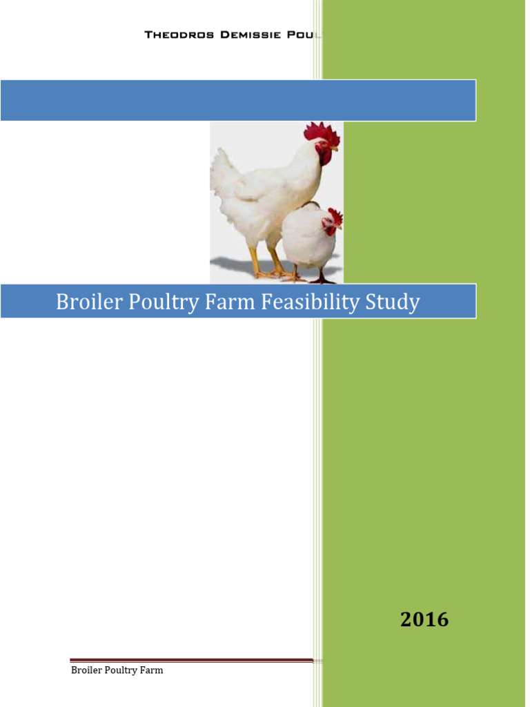 Broiler Poultry Farm Feasibility Study 4(1) (1) | PDF | Chicken ...