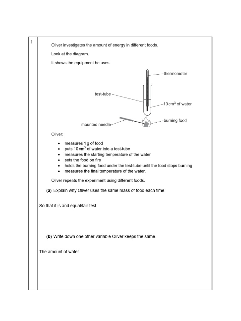 Experiment Questions | PDF