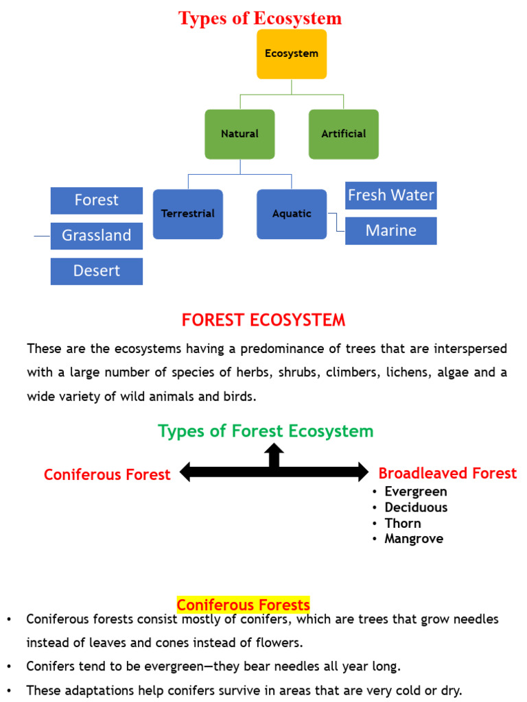 Unit-I EcosystemTypes Biodiversity | PDF | Desert | Forests