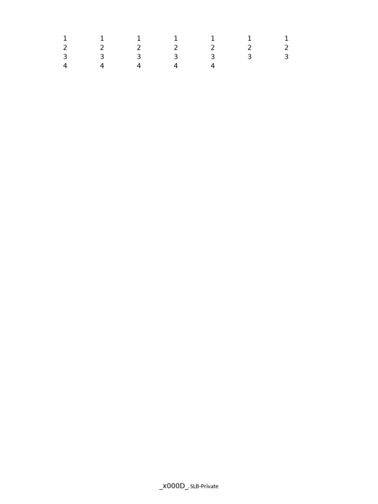 SLB Private | PDF