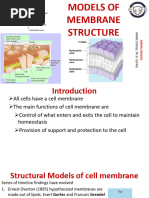 Models of Plasma Membrane Structure | PDF | Cell Membrane | Cell (Biology)