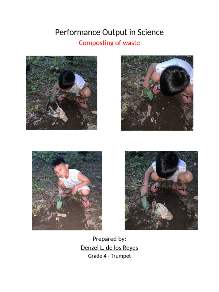 Performance Output in Science | PDF
