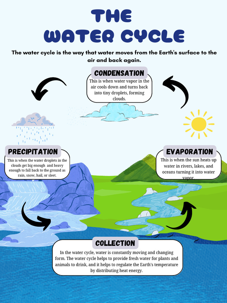 Understanding the Water Cycle | PDF