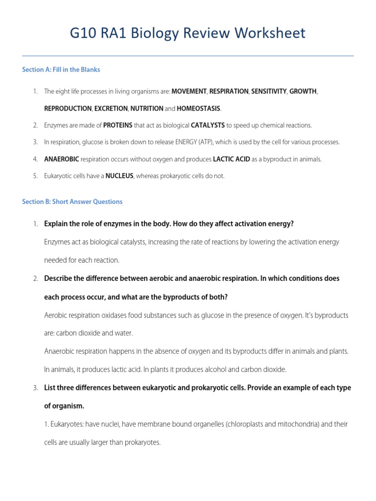 G10 Biology Review: Life Processes & Enzymes | PDF | Cellular ...